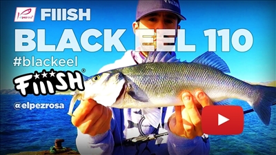 Vídeo | pescando lubinas con Black Eel 110 en aguas claras